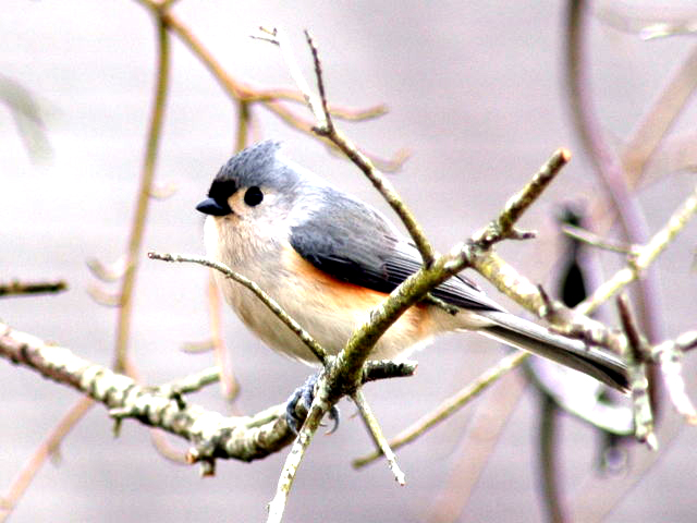 �T���v���ʐ^