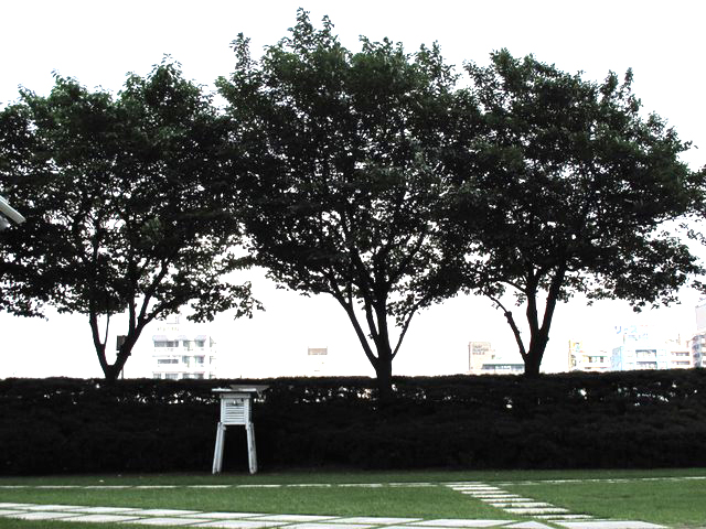 �T���v���ʐ^